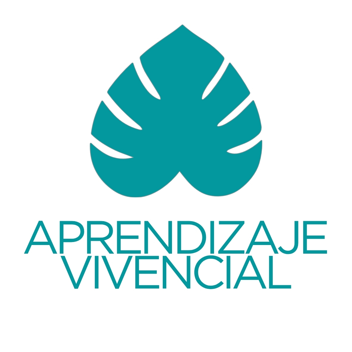 Aprendizaje Vivencial