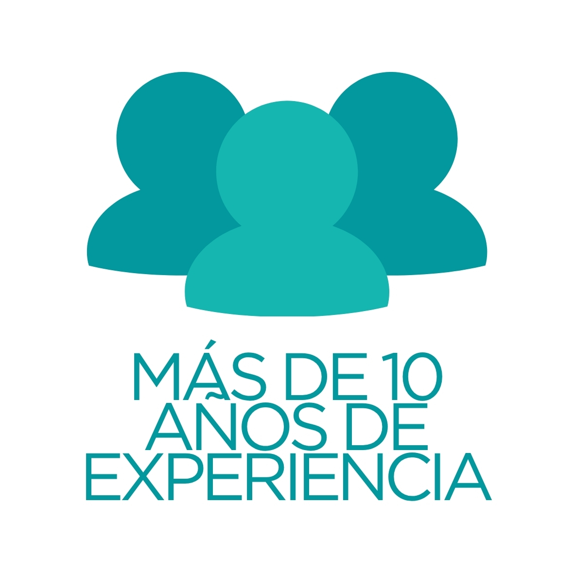 Más de 10 Año de Experiencia