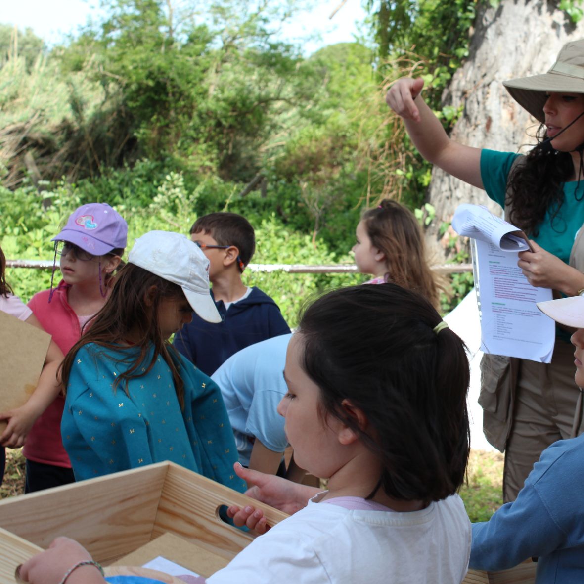 Excursiones escolares