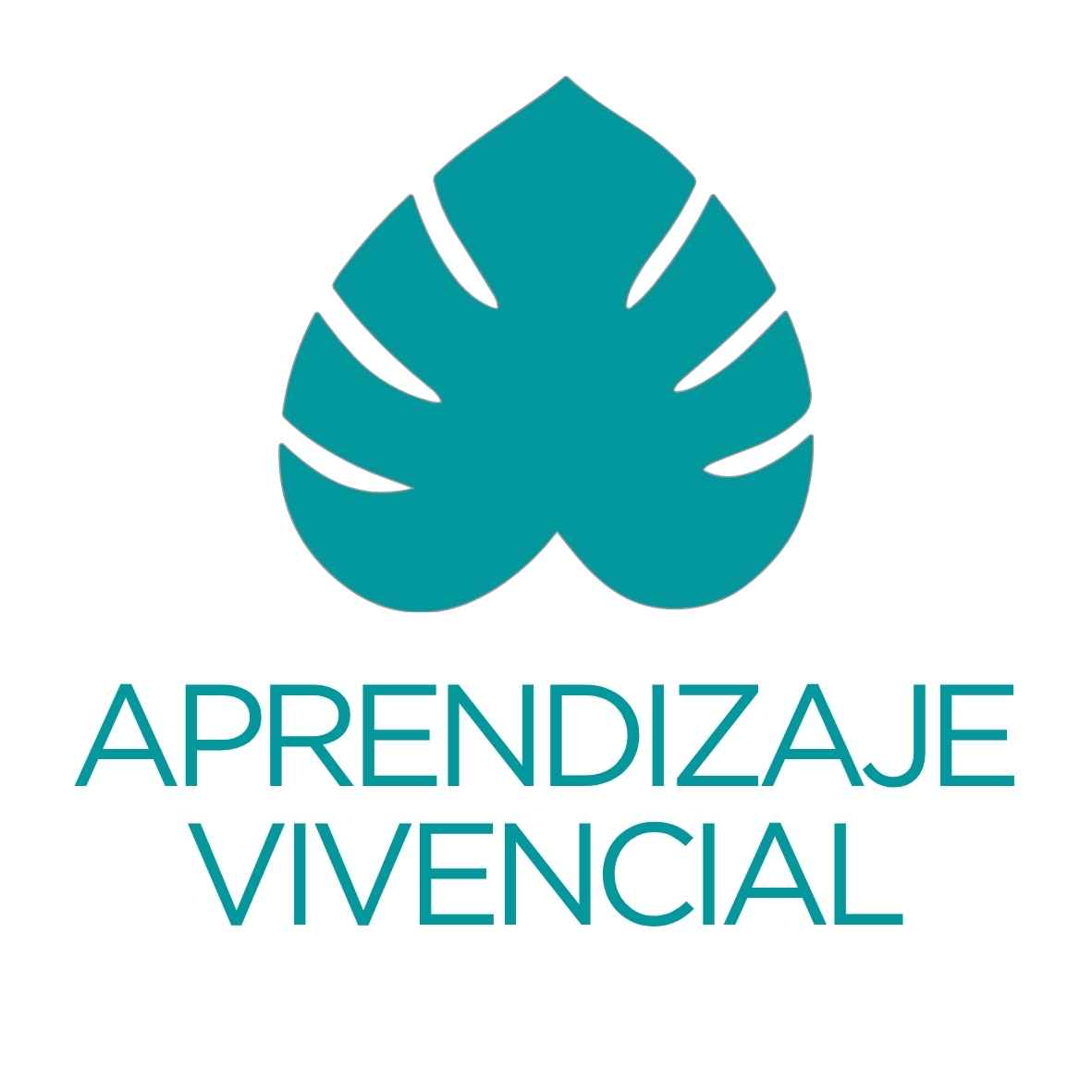 Aprendizaje Vivencial