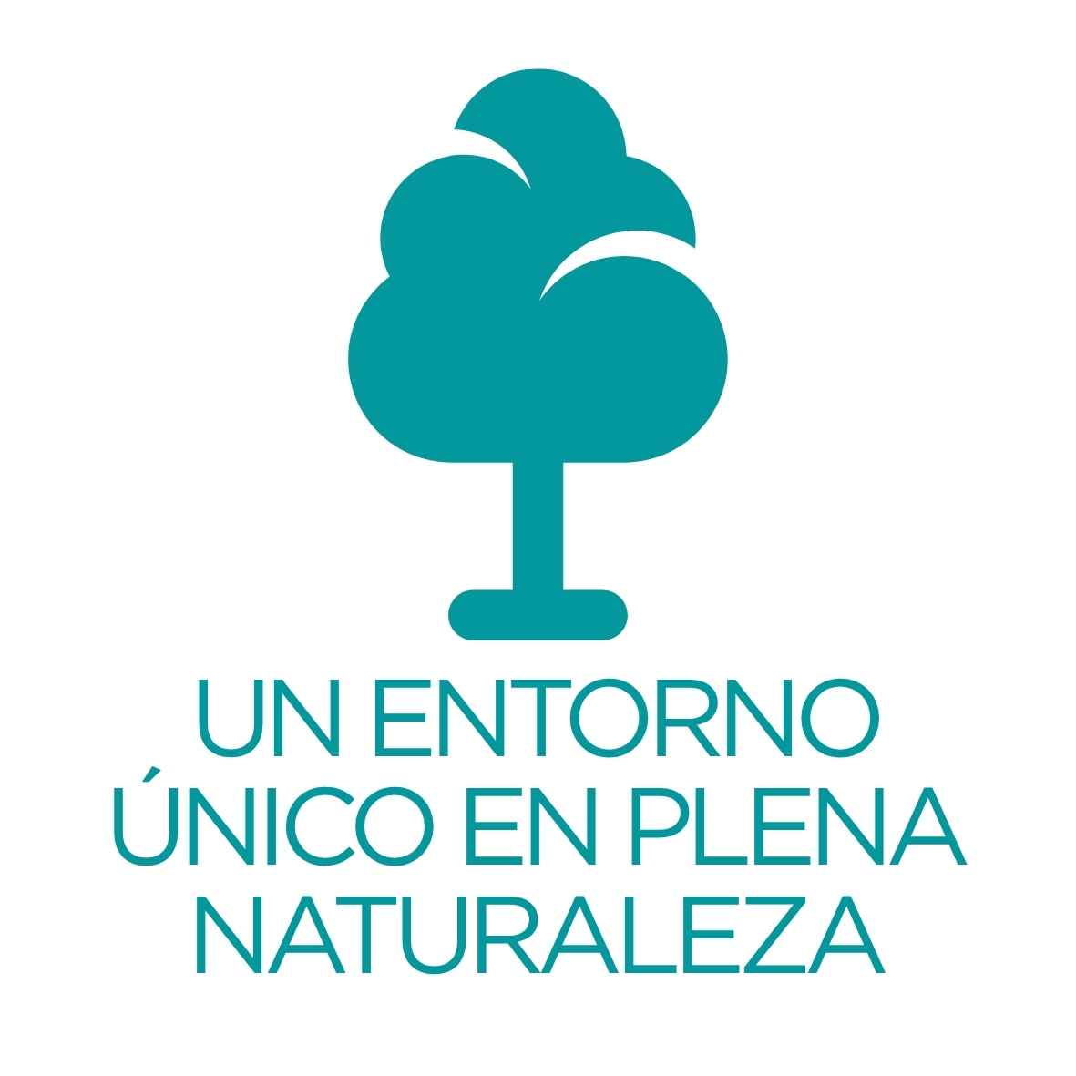 Entorno Único